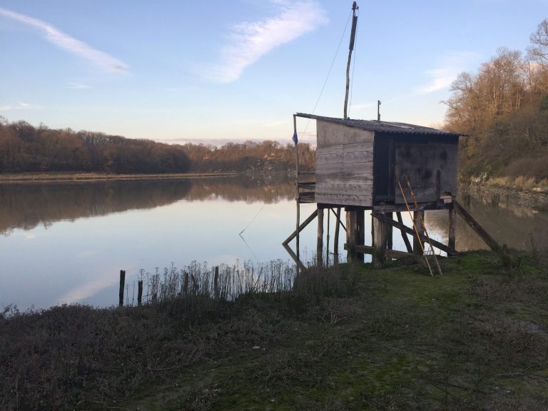 Les berges de la Rance